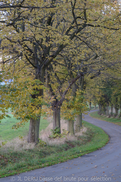 paysage automne